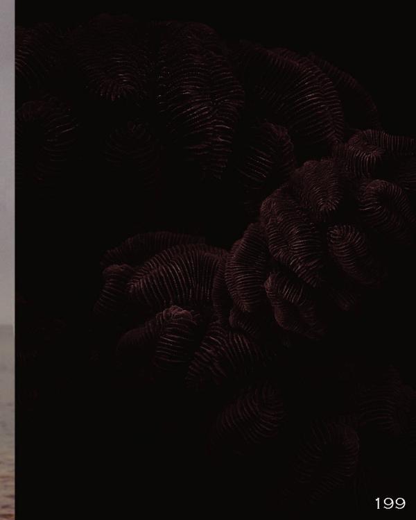 Homme-6-精壯美男魚